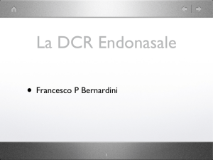 • Francesco P Bernardini