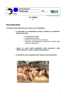 4.4 Iodio