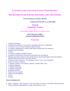 dipartimento di scienze motorie e del benessere