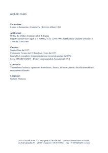 GIORGIO OLMO Formazione Laurea in Economia e Commercio