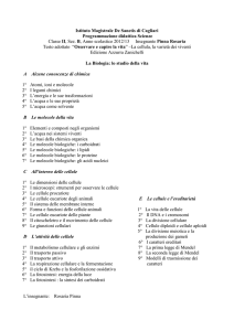 scienze _2_B - Liceo "De Sanctis"