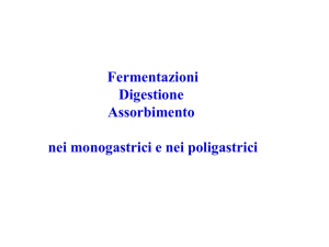 Processi_digestivi 1 - Associazione Studenti di Agraria IAAS Sassari