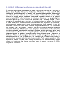Vedi allegato