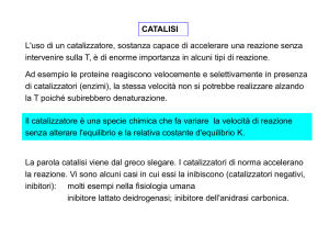 Catalisi omogenea