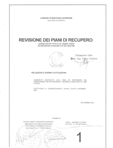 REVISIONE DEl PIANI Dl RECUPERO
