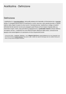 Acetilcolina - Definizione