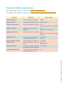 Parametri della respirazione:parametri della respirazione
