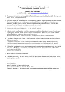 Programma di Anatomia del Sistema Nervoso (24 ore) Laurea