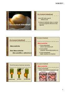 Occlusioni intestinali