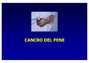 Diapositiva 1