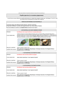 C:\Users\Userregtosc\Desktop\Lavoro\Speciale servizio fitosanitario