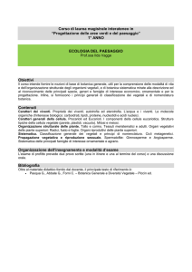 Scarica il formato