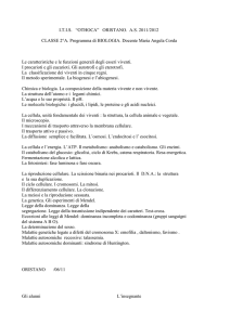 Biologia - Itis "Othoca"