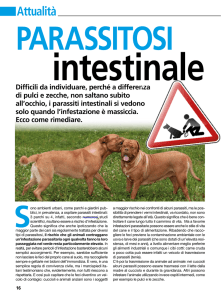 Attualità Attualità