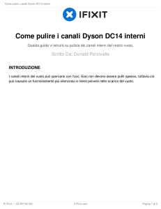Come pulire i canali Dyson DC14 interni