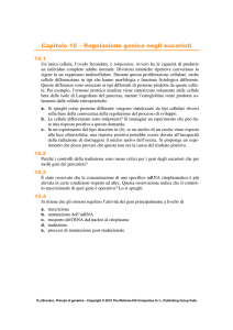 Regolazione genica negli eucarioti