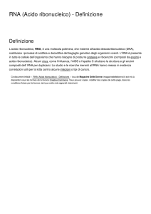 RNA (Acido ribonucleico) - Definizione