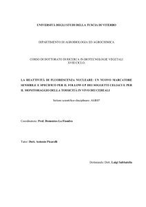 università degli studi della tuscia di viterbo