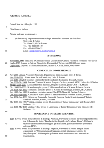 curriculum vitae - Campusnet Unito