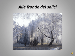 Alle fronde dei salici - Liceo Marconi Conegliano