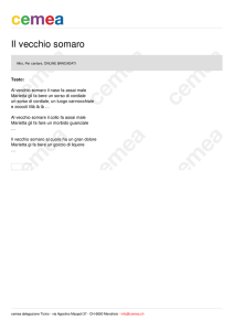 Il vecchio somaro