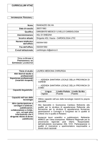 curriculum vitae