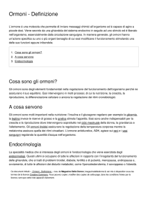 Ormoni - Definizione - Magazine Delle Donne