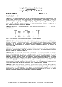 COMPITO 6 LUGLIO 2015 - e