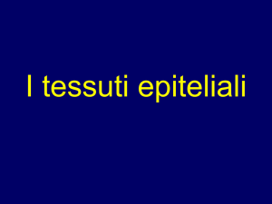 Diapositiva 1 - Didascienze.it