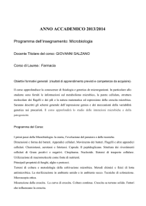 ai proff -