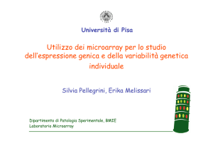 Utilizzo dei microarray per lo studio dell`espressione genica e della