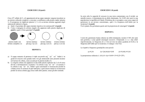 visualizza