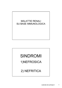 Malattie Renali Su Base Immunologica