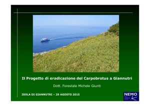 Giunti_Giannutri Carpobrotus_LOW