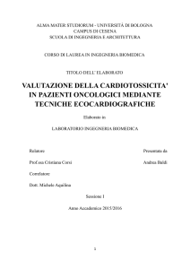- AMS Laurea
