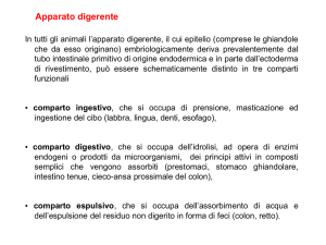 Diapositiva 1 - Portale Docenti
