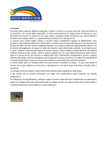 zanzare - Eco Service Ambiente