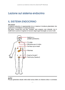 Lezione sul sistema endocrino