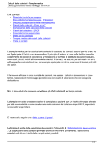 Calcoli della colecisti - Terapia medica