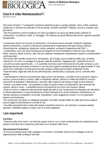Cos`è il cibo Nutraceutico? - Centro di Medicina Biologica