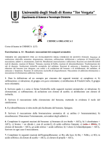Esercitazione n. 14 - Macroarea di Scienze