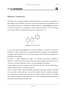 - Chimica delle Sostanze Organiche Naturali 2016 prof
