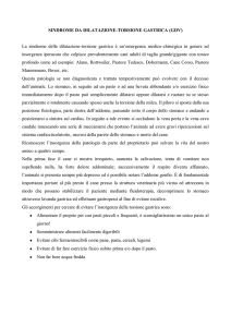 articolo GDV - Ambulatorio Veterinario Santa Chiara