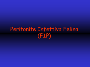 Nessun titolo diapositiva - Progetto e