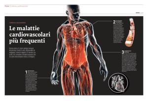 Le malattie cardiovascolari più frequenti