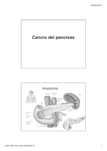 Cancro Pancreas