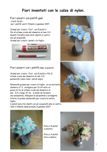 Fiori inventati - Nazareth friends