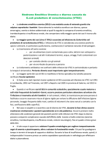 SEU e diarrea da E.coli produttori di verocitossina (VTEC / STEC)