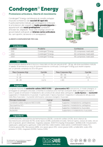 Condrogen Energy