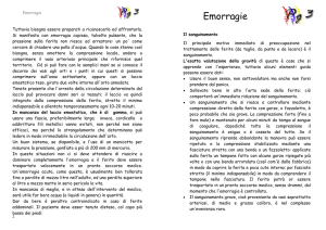 Emorragie - Gruppo Scout Cavezzo 1